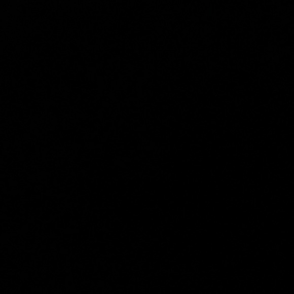 Meet your Posher, Macie - Picture 1 of 1